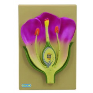 Model: Typical Flower L.S.(Mounted) 330x250xx65mm